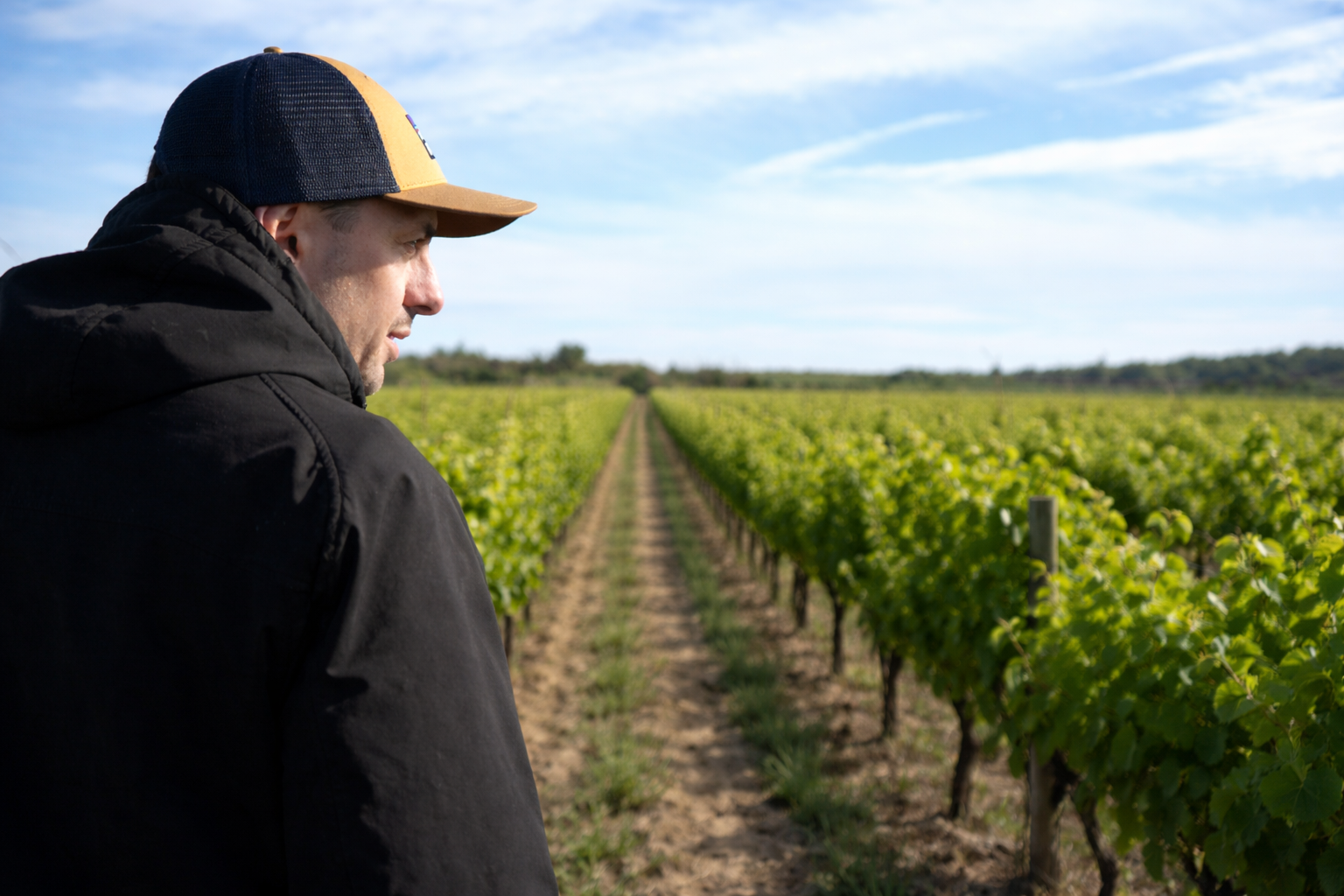 Erwan dans les vignes occitanes